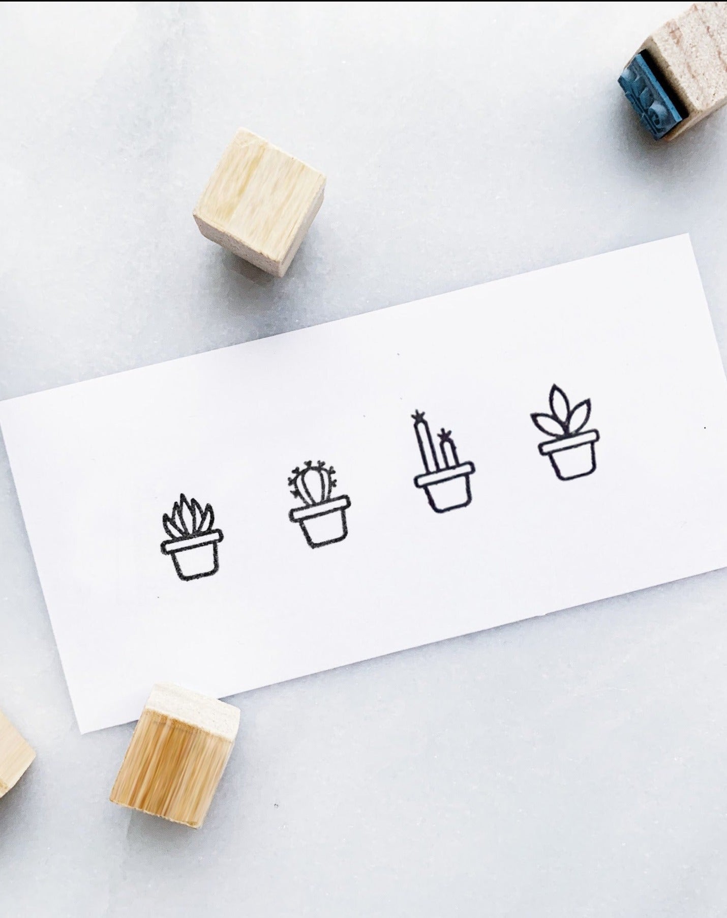 Cacti and Succulents Rubber Stamp Set